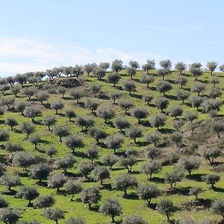 Agroturismo Casal De Castro Villa Avantos Kültér fotó