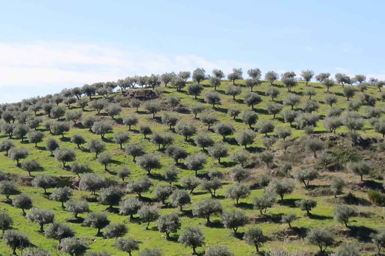 Agroturismo Casal De Castro Avantos Kültér fotó
