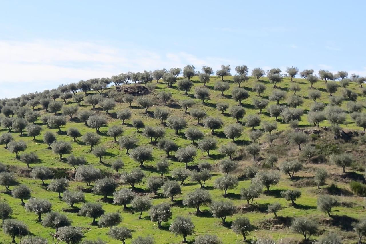 Agroturismo Casal De Castro Villa Avantos Kültér fotó